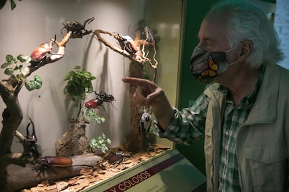 Pedro Velasco, fundador de InsectPark, durante una visita guiada.