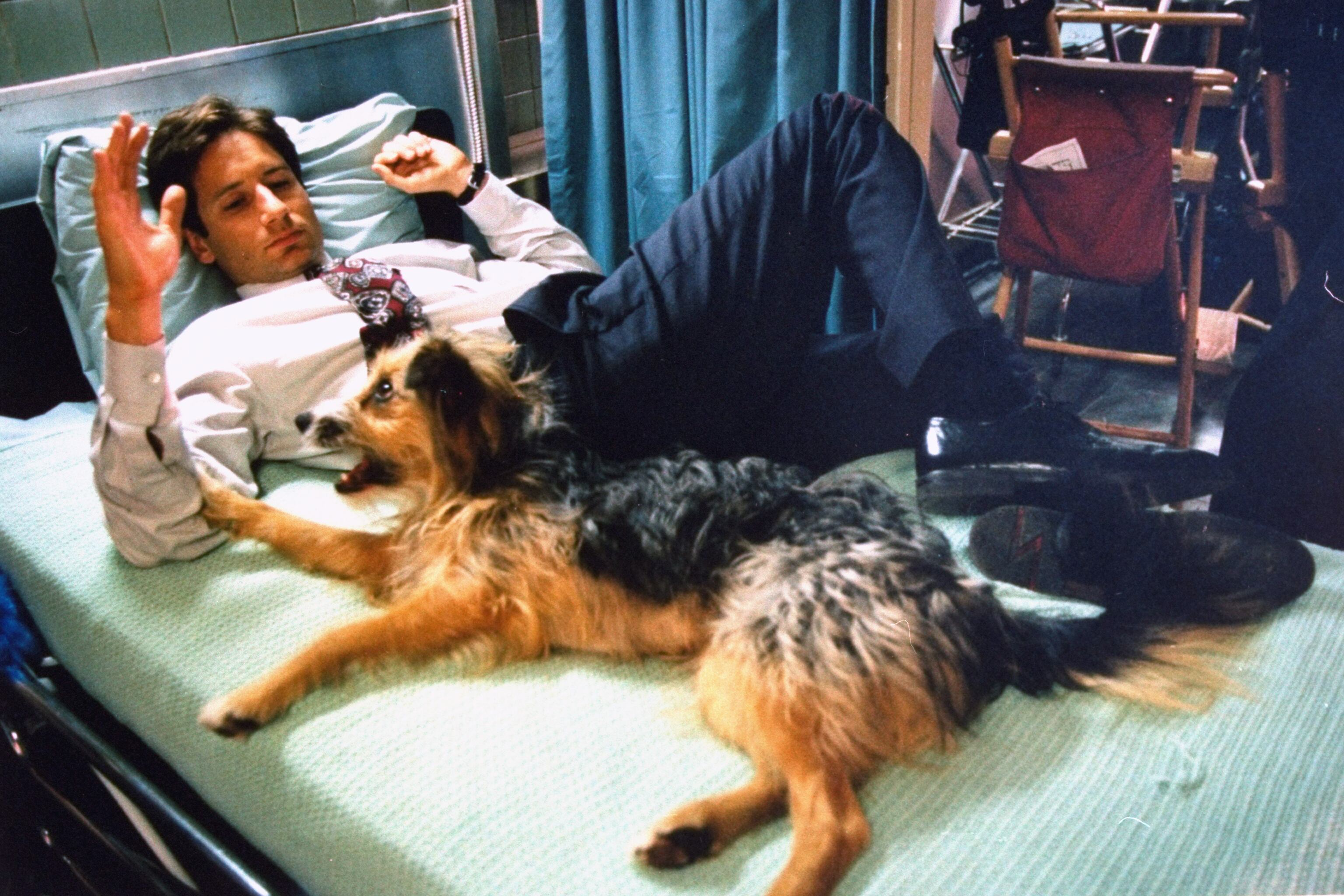 David Duchovny tumbado en la cama con un perro durante la grabación de 'Expediente X'.