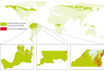 Uno de los mapas que hacen en colaboración con los indígenas.