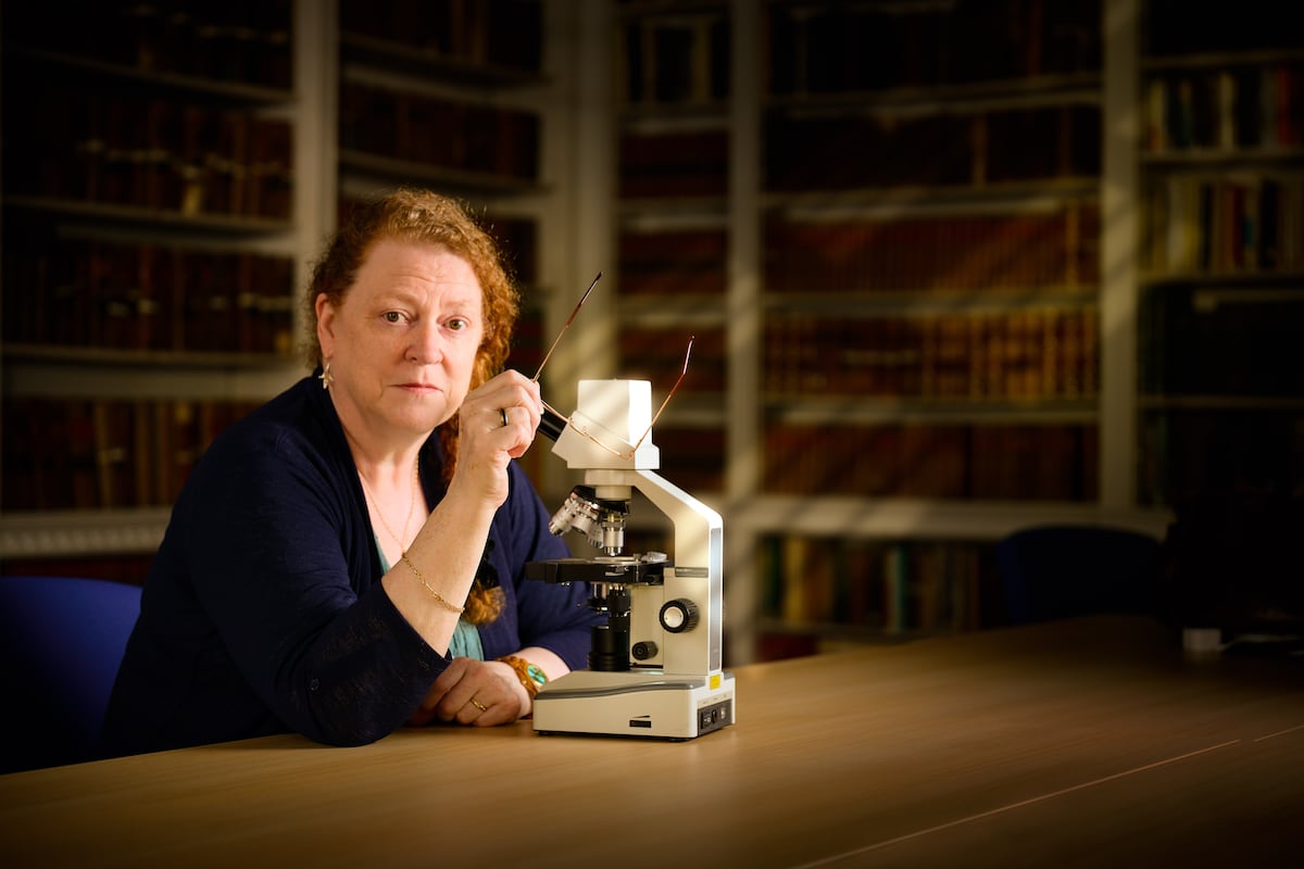 Sue Black, the forensic anthropologist who hunts pedophiles by the ...