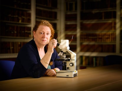 Forensic anthropologist Sue Black.