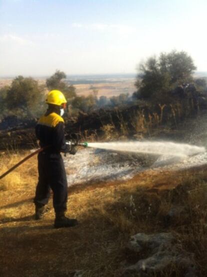 Un brigada forestal apaga el fuego en El Molar.