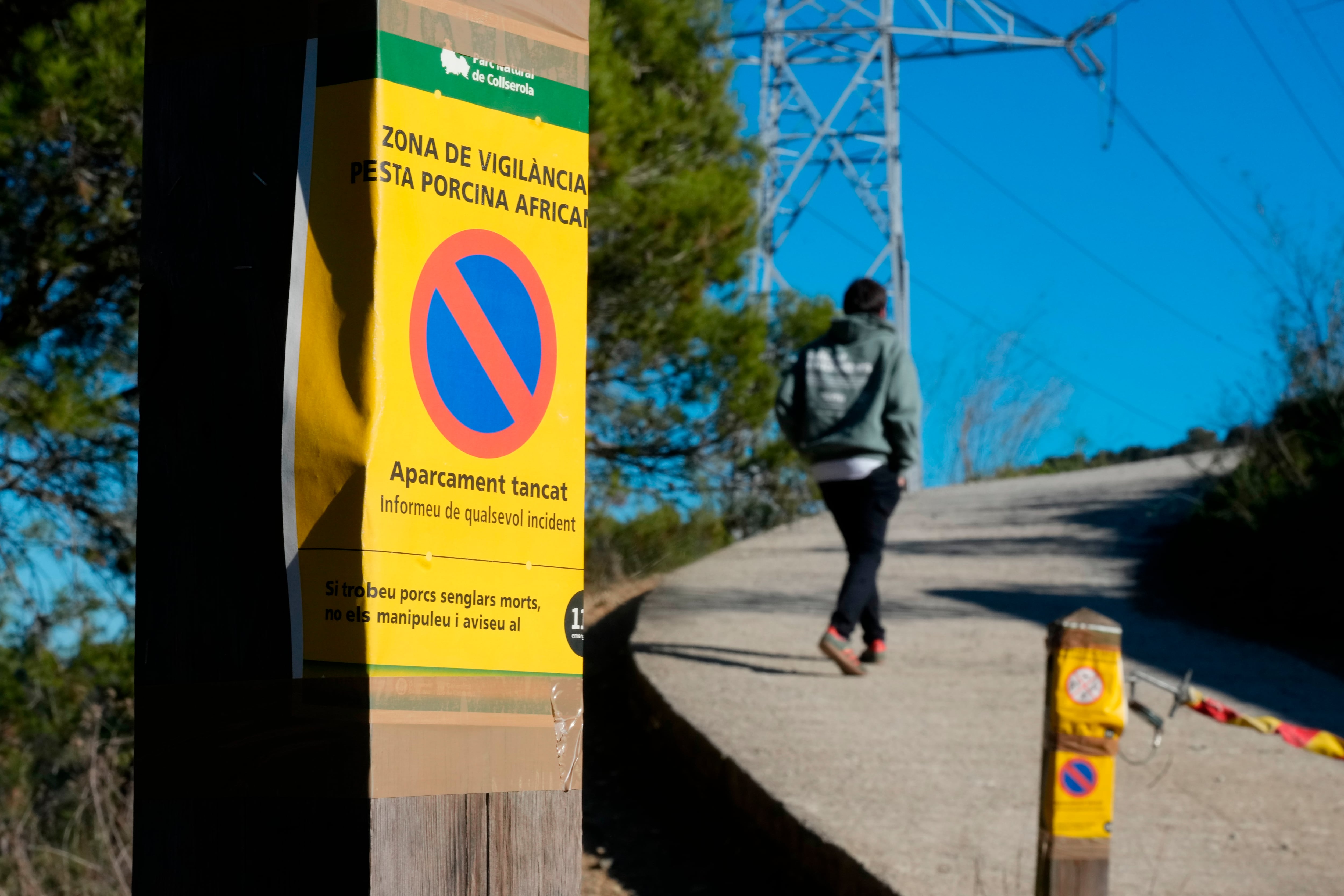 El sector contiene la respiración ante el brote de peste porcina: “Esperamos lo mejor, pero nos preparamos para lo peor”
