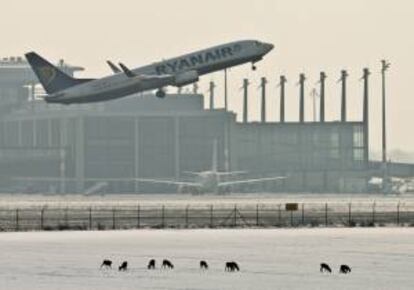 Un avión de pasajeros de la compañía Ryanair. EFE/Archivo