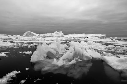 Icebergs flotando cerca de la costa de Groenlandia, en mayo de 2021.