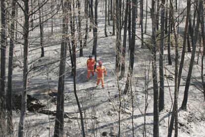 Dos bomberos caminan sobre las cenizas del parque natural de la Sierra Calderona.