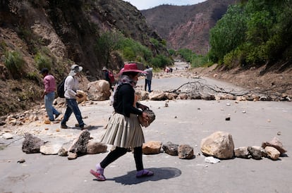 Simpatizantes de Evo Morales