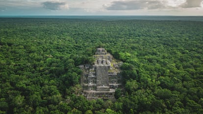 Una de las pirámides de las ruinas mayas de Calakmul, rodeada de selva.