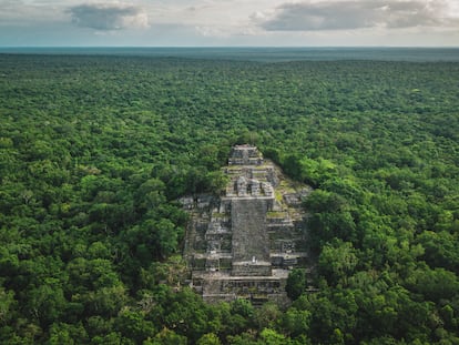 Una de las pirámides de las ruinas mayas de Calakmul, rodeada de selva.