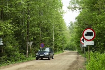 La carretera Narewkowska, dentro del bosque de Bialowieza, cuyas obras de asfaltado se encuentran ahora suspendidas porque incumplían la normativa.