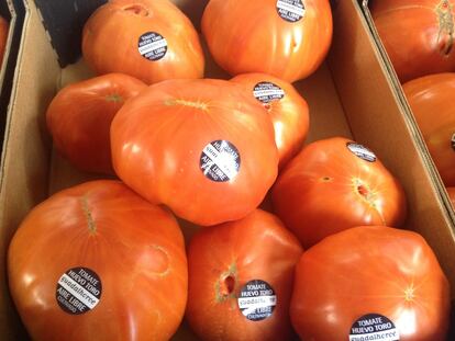 Coín y los tomates huevo toro