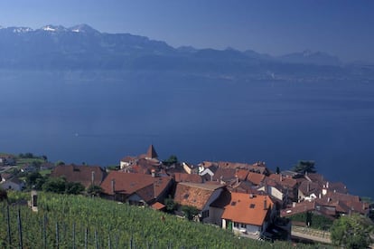 Situado a orillas del lago Lemán, en el cantón del Vaud, Grandvaux forma parte de la región vinícola asociada a Lavaux. Propone rutas de senderismo y degustaciones gastronómicas y de vinos de la zona.