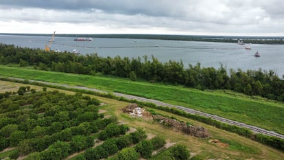 Orange groves at Ben & Ben Becnel, Inc. are seen along the Mississippi River in Plaquemines Parish, La., Thursday, Sept. 28, 2023