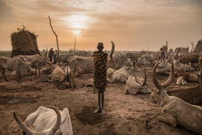 La niña sudanesa Den, de la tribu Dinka, que trabaja como ganadera, cocinera y limpiadora, y ayuda a su hermano sin asistir a ninguna escuela en Mingkaman, en el estado de Lagos (Sudán del Sur).