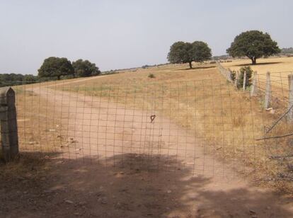 El terreno donde la Asociación Salamanca por la Memoria y la Justicia busca a entre 15 y 20 fusilados, cerrado con un candado puesto por la propietaria.