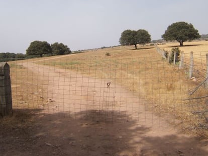 El terreno donde la Asociación Salamanca por la Memoria y la Justicia busca a entre 15 y 20 fusilados, cerrado con un candado puesto por la propietaria.