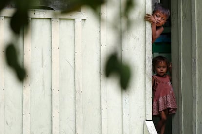 Crianças Yanomami, nas proximidades do rio Uraricoera, no coração da floresta amazônica.