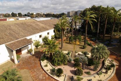 Patio con palmeras del hotel jerezano Prestige Palmera Plaza