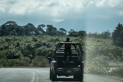 Un vehículo policial patrulla las carreteras cerca de los árboles de aguacate en Peribán, estado de Michoacán, México, el lunes 21 de febrero de 2022. 