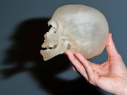 Un modelo de calavera humana impresa en 3-D.