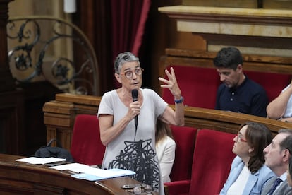 Olga Pané, en el pleno del Parlament de este martes.