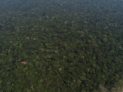 Vista aérea del Estado de Amazonas, Brasil.