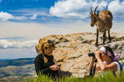 Dos senderistas junto a una cabra en la sierra de Gredos (Ávila)