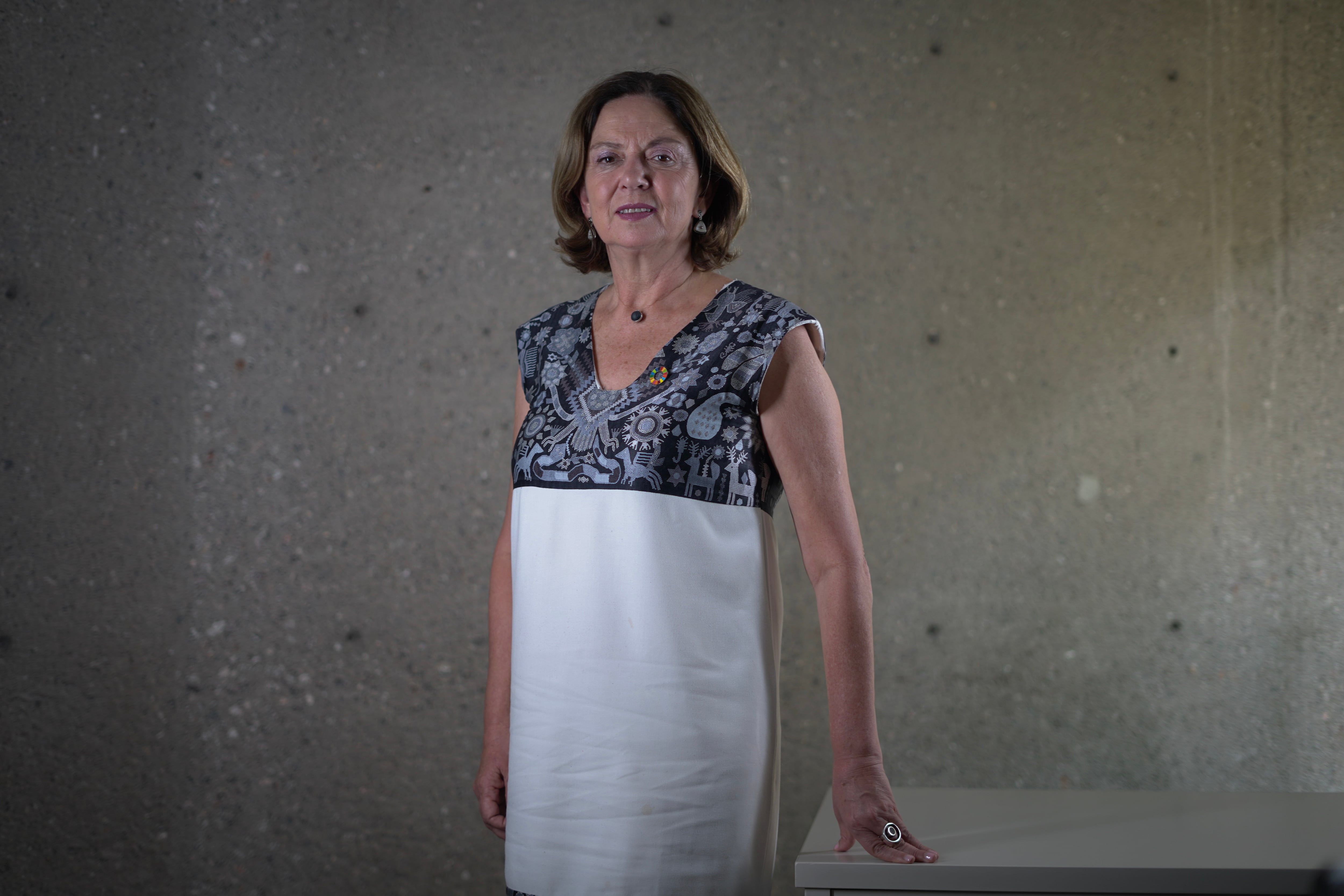 Ana Güezmes, directora de la División de Asuntos de Género de la CEPAL para América Latina y el Caribe. 