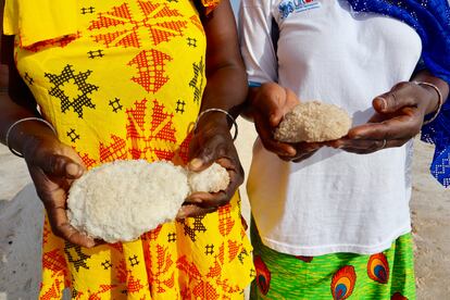 Plano detalle de la sal marina recogida por las mujeres de la asociación Diam Bougoum, en Senegal.