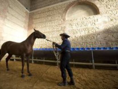 Un entrenador trabaja con un caballo durante la inauguración de la XI Feria del Caballo de Córdoba "Cabalcor 2013" en las Caballerizas Reales de la capital cordobesa.