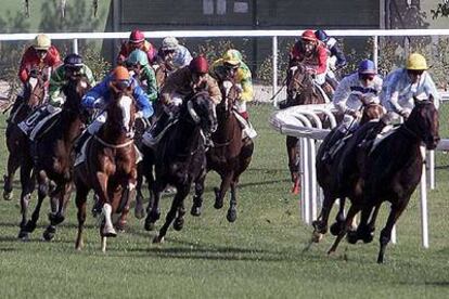 Una carrera de caballos en el hipódromo madrileño de la Zarzuela.