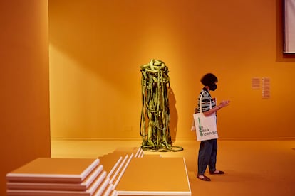 Sala de exposició de 'Un encuentro vegetal' en La Casa Encendida.