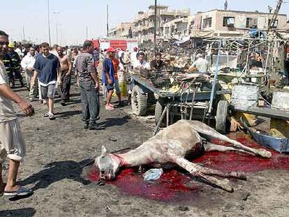 Un caballo yace muerto en el mercado de Ciudad Sáder, donde ayer se produjo un sangriento atentado.
