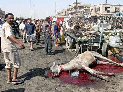 Un caballo yace muerto en el mercado de Ciudad Sáder, donde ayer se produjo un sangriento atentado.