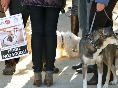 Manifestantes que hoy han condenado el maltrato animal por casos como el de Tidus.