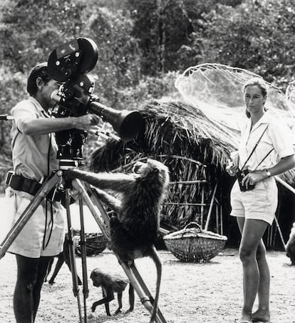 Jane Goodall en 1974, con su marido, el fotógrafo Hugo van Lawick, que la grabó para National Geographic.