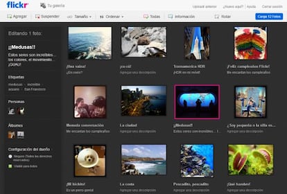 Así se ve el nuevo servicio Uploadr de Flickr