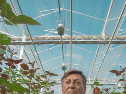 Luis Corella se ha convertido en uno de los mayores productores de flores de alta gama. De sus invernaderos, en Soria, salen 100.000 ejemplares al día.