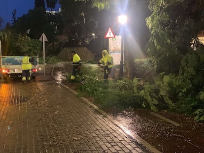 Operarios del Ayuntamiento de Marbella comprueban los destrozos causados por un tornado en la ciudad andaluza.