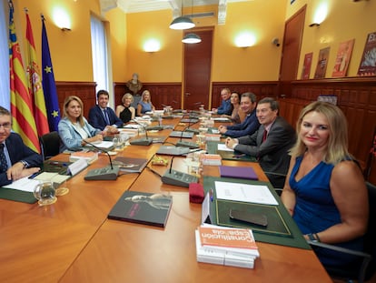 El pleno del Consell durante una de sus reuniones.