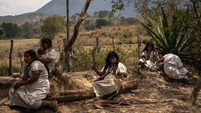 Mujeres realizan tareas en un lugar sagrado de Nabusimake, Cesar, el 14 de marzo de 2025.