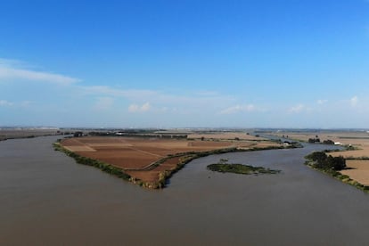 El río Guadalquivir entre las localidades de La Puebla del Río o e Isla Mayor, en la provincia de Sevilla.