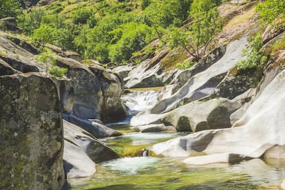 Con multitud de cascadas, saltos de agua y remansos naturales, el valle del Jerte es conocido también como como el valle del agua. Rodeada de agreste naturaleza –como bosques de ribera y pastizales alpinos–, la <a href="http://www.turismocaceres.org/es/turismo-naturaleza/reserva-natural-garganta-de-los-infiernos" target="">Garganta de los Infiernos</a> es uno de los puntos más bonitos (y visitados) de la comarca, por las peculiares formaciones rocosas que el río Jerte ha ido moldeando en su constante descenso: divertidas piscinas naturales en forma de pilones y pozas cristalinas. Declarada reserva natural en 1994, en la garganta destacan Los Pilones, una de las zonas de baño naturales más bonitas del mundo. Su nombre científico es marmitas de gigante, y hace mención a las decenas de pozas que el agua ha ido horadando pacientemente sobre el granito.