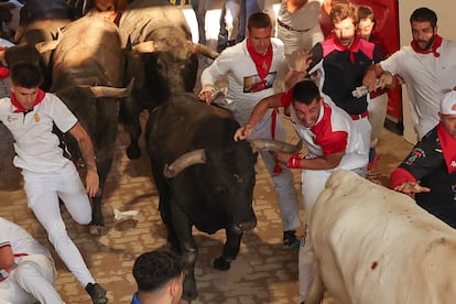 Los mozos son perseguidos por los toros de la ganadería sevillana de Miura en el callejón de entrada a la plaza de toros de Pamplona.