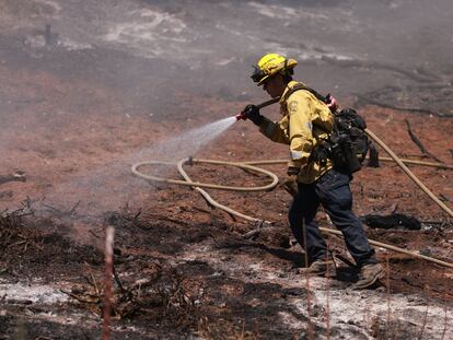 Un bombero combate el incendio en Mariposa, California, el 5 de julio 2024.