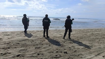 Ballena varada en una playa de Acapulco, febrero 2024