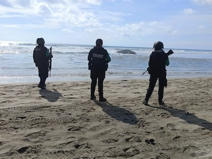 Elementos de la Secretaría de Seguridad Pública de Guerrero observan a la ballena varada en una playa de Acapulco, el 1 de febrero de 2024.