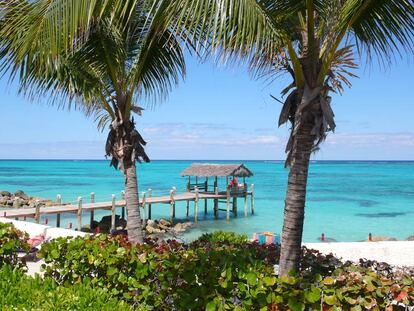 Bahamas, las islas que salvaron a Colón