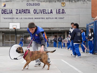 Un alumno pasea a un perro en el colegio 'Delia Zapata Olivella' en Bogotá, Colombia, el 17 de julio de 2025.