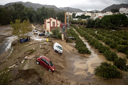 Varios coches arrastrados por la corriente del rio Guadalhorce permanecen en una zona de la localidad de Alora, este miércoles.